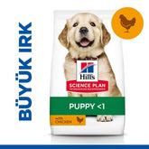 Hills Puppy Large Büyük Irk Yavru Köpek Maması 14.5 Kg