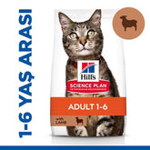 Hills Adult Kuzu Etli Yetişkin Kedi Maması 3 Kg