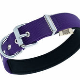 Doggie Comfort Dokuma Çivili Köpek Boyun Tasması Medium Mor 3x42-50 Cm