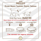 Doggie Comfort Deri Pati Desenli Köpek Boyun Tasması Medium Kahverengi 4x52-60 Cm