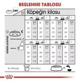 Royal Canin Mini Sterilised Yetişkin Kısırlaştırılmış Köpek Maması 3 Kg