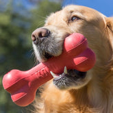 Kong Kemik Şeklinde Kauçuk Köpek Oyuncağı Small 13.5 Cm Kırmızı