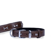 Doggie Comfort Deri Kemik Süslü Köpek Boyun Tasması Medium Kahverengi 3x42-50 Cm