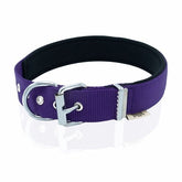 Doggie Comfort Dokuma Köpek Boyun Tasması Large Mor 3x47-55 Cm