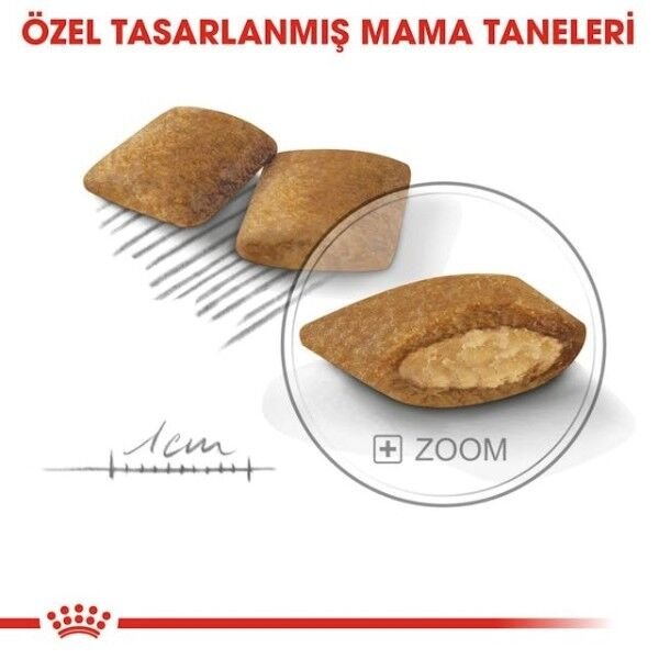 Royal Canin Mini Exigent Adult Yetişkin Köpek Maması 3 Kg