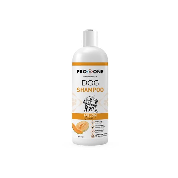 ProOne Kavun Aromalı Köpek Şampuanı 400 Ml
