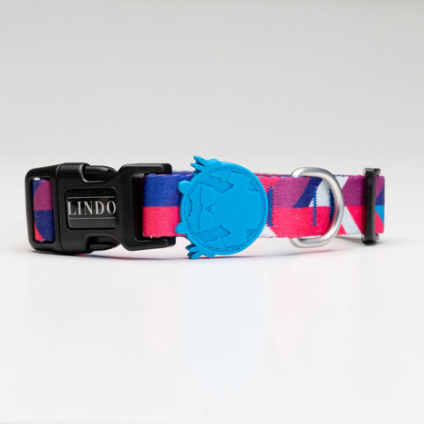 Lindo Dogs Pink Dream Köpek Boyun Tasması Renkli Medium