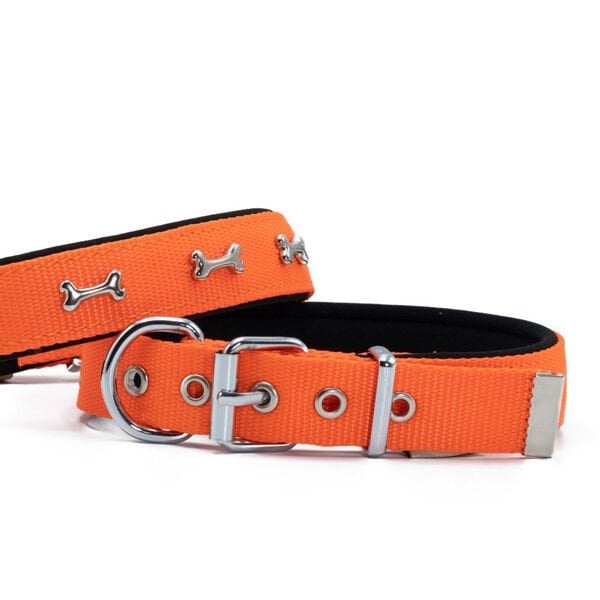 Doggie Comfort Dokuma Kemikli Köpek Boyun Tasması Medium Turuncu 2.5x37-45 Cm