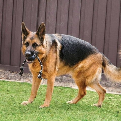 Kong Extreme Top İp Sallantılı Sesli Sert Plastik Köpek Oyuncağı Large Siyah