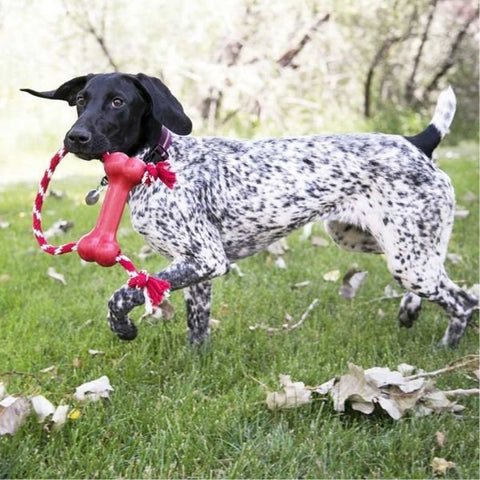 Kong Goodie Bone Kemik Şeklinde İp Sallantılı Köpek Oyuncağı Xsmall Kırmızı