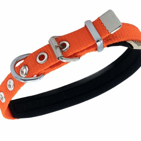 Doggie Comfort Dokuma Köpek Boyun Tasması Small Turuncu 1.5x25-30 Cm