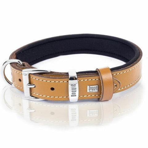 Doggie Comfort Deri Nazar Boncuklu Köpek Boyun Tasması Medium Camel 2.5x37-45 Cm