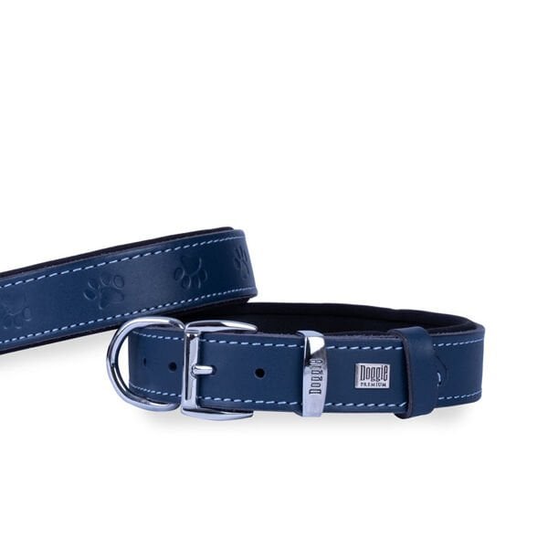 Doggie Comfort Deri Pati Desenli Köpek Boyun Tasması Medium Mavi 2.5x37-45 Cm