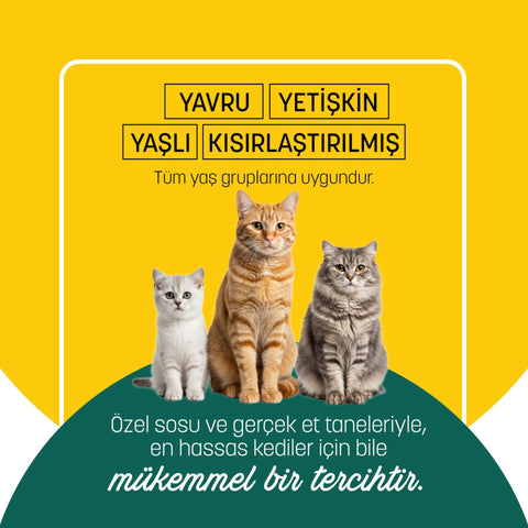 PetzzCats Ton Balığı  Kalamar Konserve Kedi Maması 1 Adet 70 Gr
