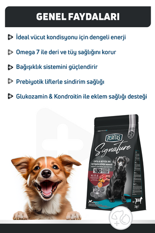 Signature Kuzulu Orta ve Büyük Irk Yetişkin Köpek Maması 3 Kg