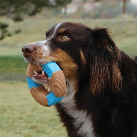 Kong Core Strength Halka Şeklinde Köpek Oyuncağı Small Kahverengi/Mavi 11.5 Cm