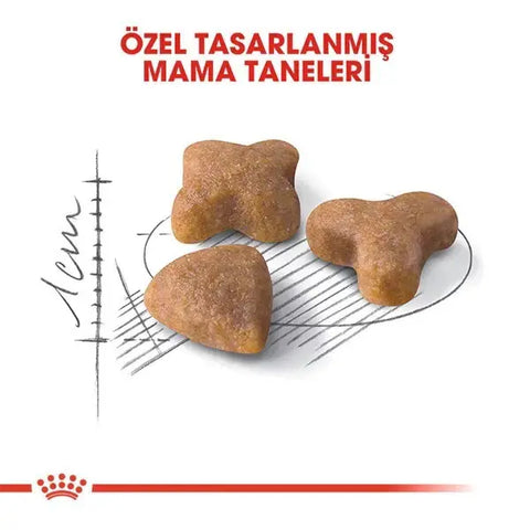 Royal Canin Sensible 33 Hassas Yetişkin Kedi Maması 10 Kg