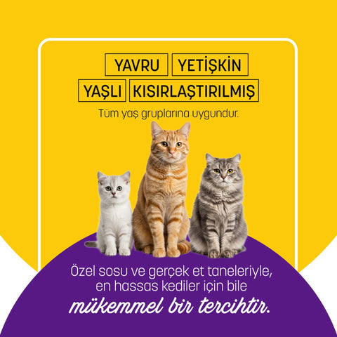 PetzzCats Ton Balığı  Midye Konserve Kedi Maması 1 Adet 70 Gr