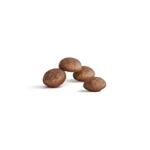 Royal Canin Healthy Ageing 11+ Yaşlı Kedi Maması 2 Kg