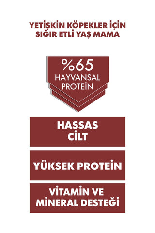 Pro Performance Ultra Premium Biftekli Yetişkin Konserve Köpek Maması 1 Adet 400 Gr