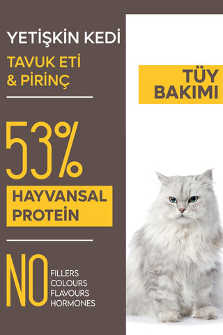 Animal World Tavuklu ve Pirinçli Tüy Yumağı Önleyici Yetişkin Kedi Maması 15 Kg