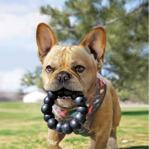 Kong Extreme Yüzük Şeklinde Ultra Sert Köpek Oyuncağı Xlarge