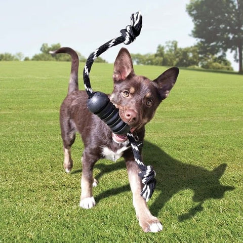 Kong Extreme Dental Diş Temizliği için İp Sallantılı Ultra Sert Köpek Oyuncağı Medium