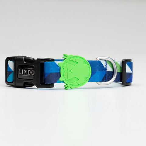 Lindo Dogs Blue Dream Köpek Boyun Tasması Mavi Small