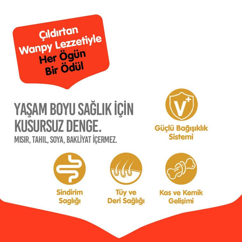 Wanpy Tavuklu Tahılsız Yavru Köpek Maması 1.5 Kg