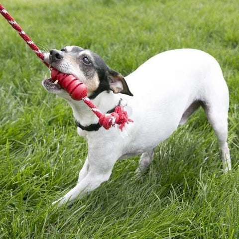Kong Dental Diş Temizliği için İp Sallantılı Köpek Çiğneme Oyuncağı Small Kırmızı