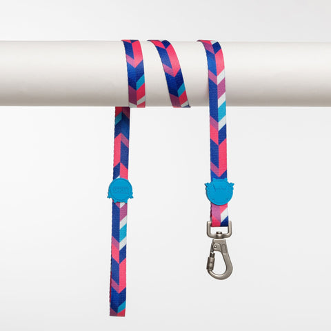 Lindo Dogs Pink Dream Köpek Gezdirme Kayışı Mavi/Pembe Small
