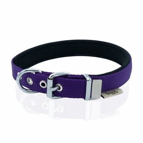 Doggie Comfort Dokuma Kemikli Köpek Boyun Tasması Small Mor 2x30-35 Cm