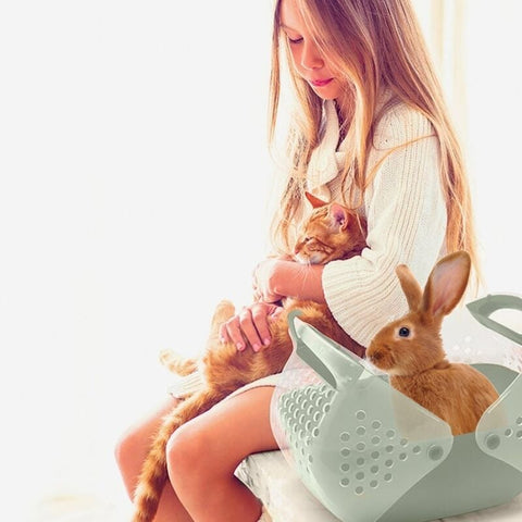 İmac Baggy Kemirgen ve Yavru Kedi Taşıma Çantası Yeşil 36x25x29 Cm