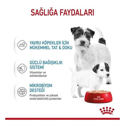 Royal Canin Starter Mousse Yavru Konserve Köpek Maması 1 Adet 195 Gr