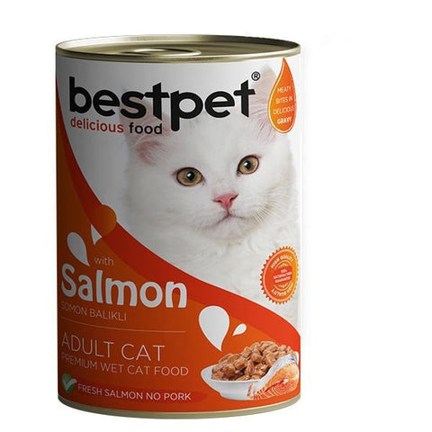 Bestpet Somonlu Jöleli Yetişkin Konserve Kedi Maması 1 Adet 400 Gr