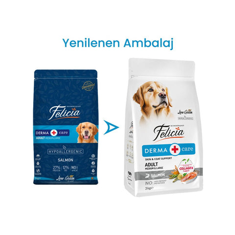 Felicia Düşük Tahıllı Hipoalerjenik Somonlu Orta ve Büyük Irk Yetişkin Köpek Maması 3 Kg