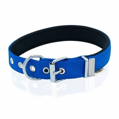 Doggie Comfort Dokuma Kemikli Köpek Boyun Tasması Large Mavi 2.5x42-50 Cm