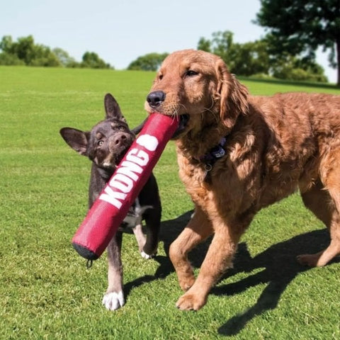 Kong Signature Stick Çubuk Şeklinde Köpek Oyuncağı Xlarge