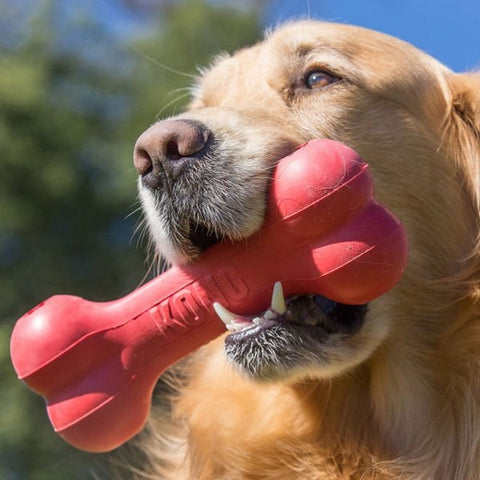 Kong Kemik Şeklinde Kauçuk Köpek Oyuncağı Small 13.5 Cm Kırmızı