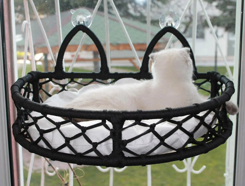 Lepus Cam Güzeli Vantuzlu Kedi Kedi ve Küçük Irk Köpek Yatağı Antrasit 27x50x40 Cm