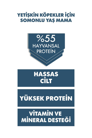 Pro Performance Ultra Premium Somonlu Yetişkin Konserve Köpek Maması 1 Adet 400 Gr