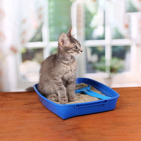 Reflex Hassas Kediler için Aktif Karbonlu Topaklanan Kedi Kumu 1 Adet 6 Lt