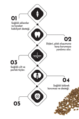 Pro Performance Sterilised Tavuklu ve Pirinçli Kısırlaştırılmış Yetişkin Kedi Maması 15 Kg