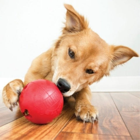 Kong Biscuit Ball Top Köpek Oyuncağı Large Kırmızı 7 Cm