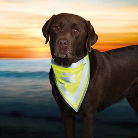 Trixie Köpek Bandanalı Tasma Xlarge 42-60 Cm