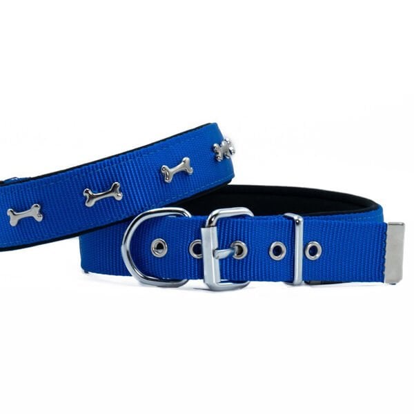 Doggie Comfort Dokuma Kemikli Köpek Boyun Tasması Medium Mavi 3x42-50 Cm