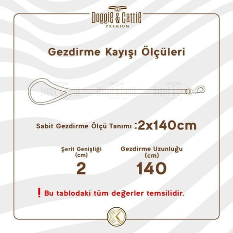 Doggie Dokuma Emniyet Kemerli Köpek Gezdirme Tasma Aparatı Medium Mor 2.5x50-80 Cm