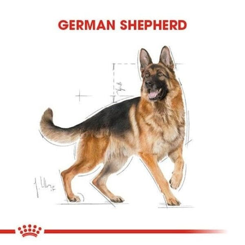 Royal Canin German Shepherd Adult Yetişkin Köpek Maması 11 Kg