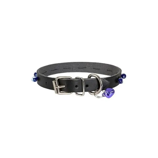 Cattie Boncuklu Deri küçük Irk Köpek ve Kedi Boyun Tasması Large Siyah 1.2x23-27 Cm
