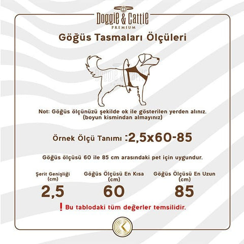 Cattie Havalı Dokuma Kedi Göğüs ve Gezdirme Takımı Medium Bej 1x25-35 Cm